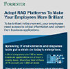 Adopt RAD Platforms To Make Your Employees More Brilliant