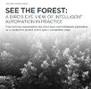 See The Forest: A Bird's Eye View Of Intelligent Automation In Practice