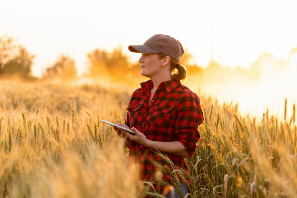 A woman farmer examines the field of cereals and sends data to the cloud from the tablet. Smart farming and digital agriculture.